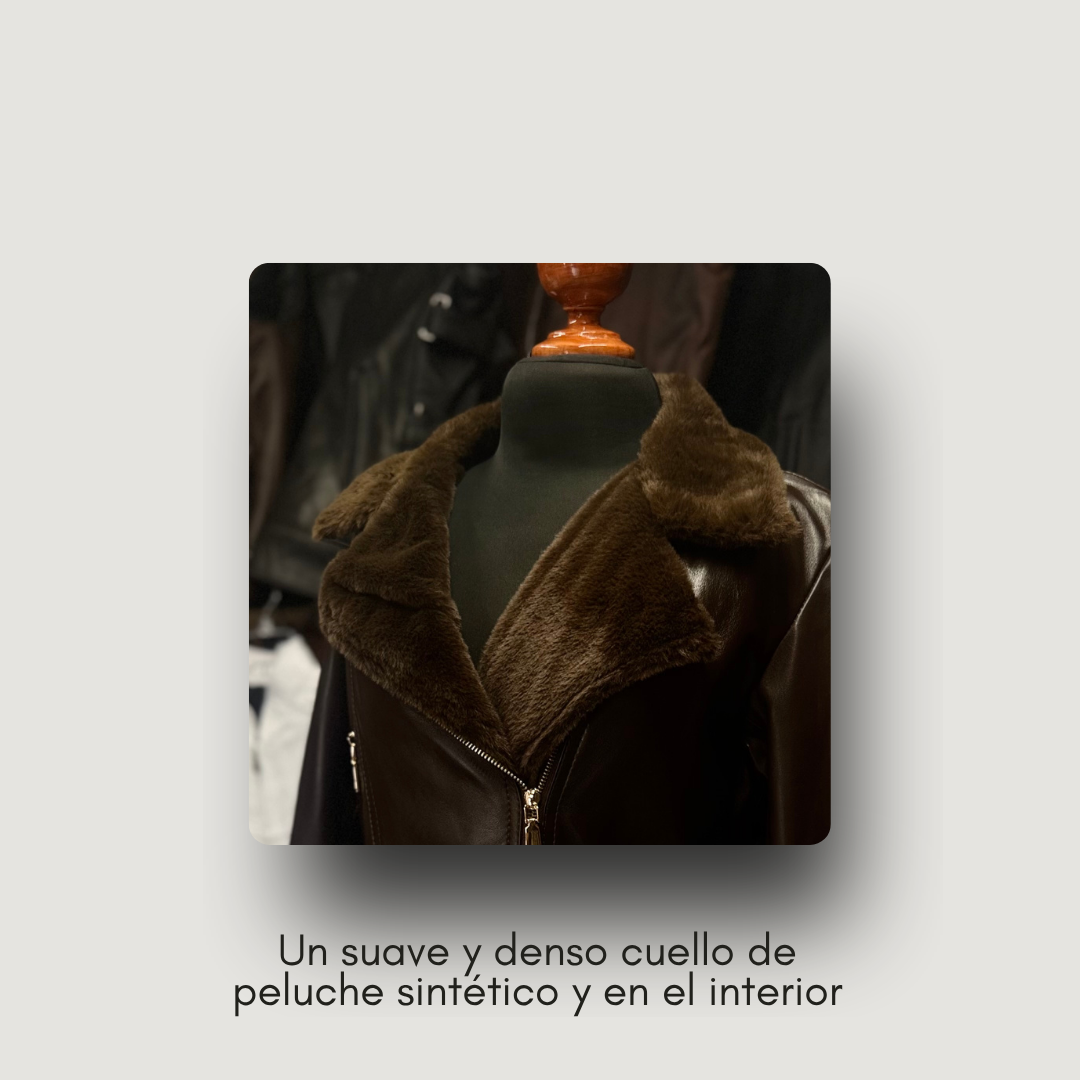 Gabardina: yamilet